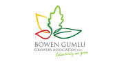 Bowen Gumlu