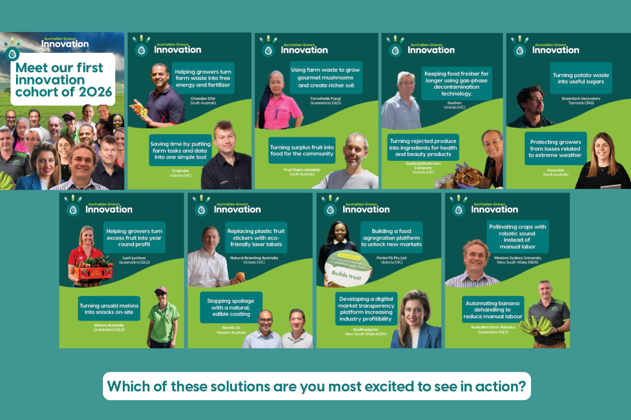 Innovation cohort 2026