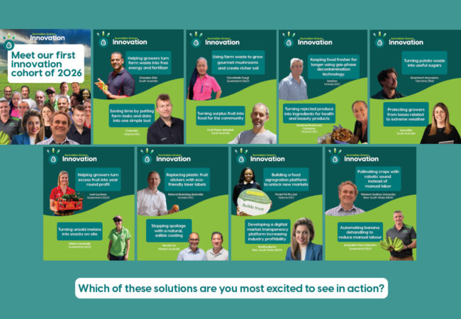 Frontiers post Innovation cohort 2026