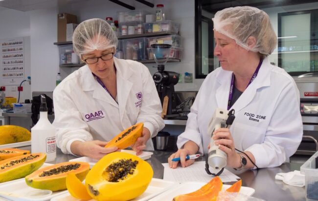 Article-MR-Tech puts consumers at heart of fruit development
